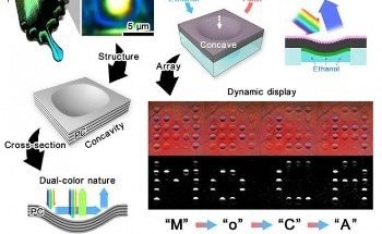 A Promising New Material for Optical Devices and Wearable Technology