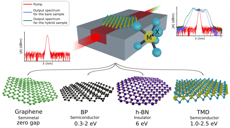 Hybrid Integration of 2D Materials for On-Chip Nonlinear Photonics